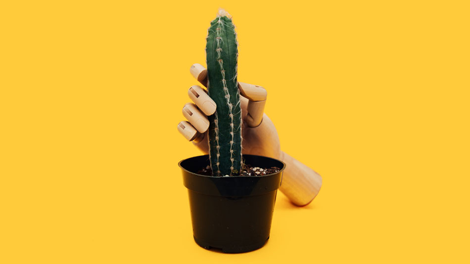 Risky Sexual Behavior - TherapybyAngelina.com - Angelina H. Rodriguez, LPC-AT/S, ATR-BC - 713-206-8429